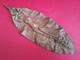 Feuille Bronze Décor Femme Art Nouveau Jugendstil Signée G. Delperier 47 Cms