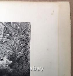 Gravure Ancienne Eau-Forte Scène Femmes Nues Baignade Paysage Cascade Chien