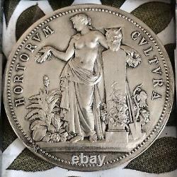 Médaille En Argent Art Deco Nouveau Silver Medal Femme Borrel