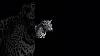 Muse Ambience Wealthy Billionaire Focusonyourself Mindset Femmeentrepreneure Femmeelipses
