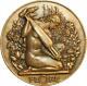 O6525 Rare Médaille Art Nouveau Delannoy Femme Nue Flore Splendide